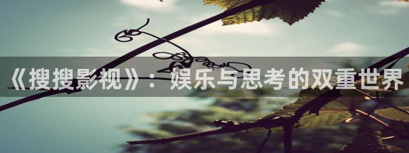 被窝电影网在线看：《搜搜影视》：娱乐与思考的双重世界