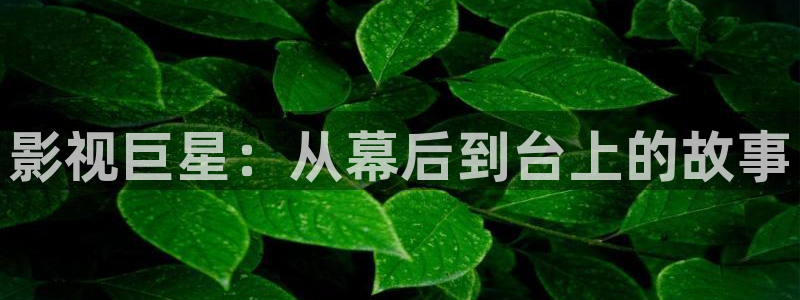 爱看被窝电影：影视巨星：从幕后到台上的故事