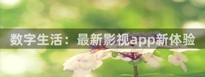 被窝福利影院：数字生活：最新影视app新体验