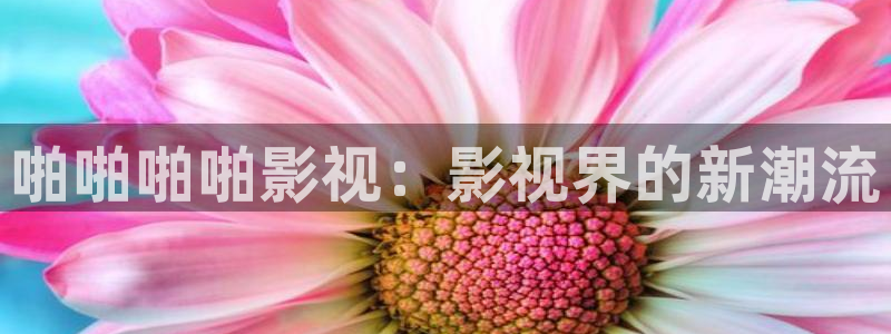 被窝伦理午夜电影：啪啪啪啪影视：影视界的新潮流