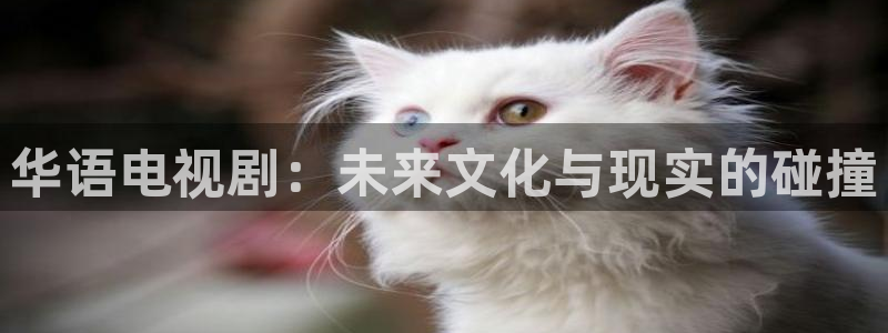 被窝电影成人：华语电视剧：未来文化与现实的碰撞